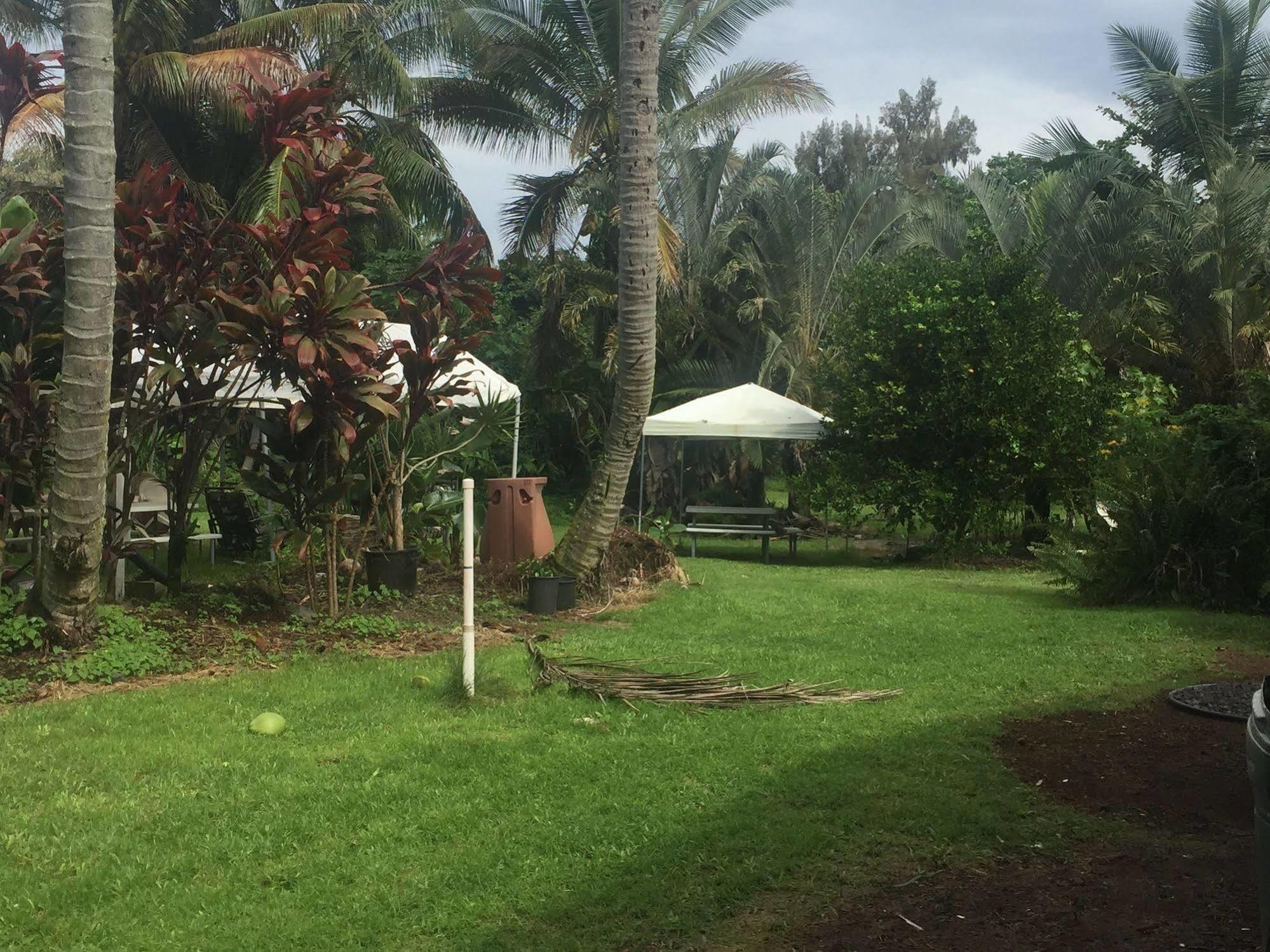 Aaron'S Cottage Hilo Exterior photo